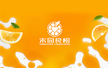 某良橙——天水LOGO设计